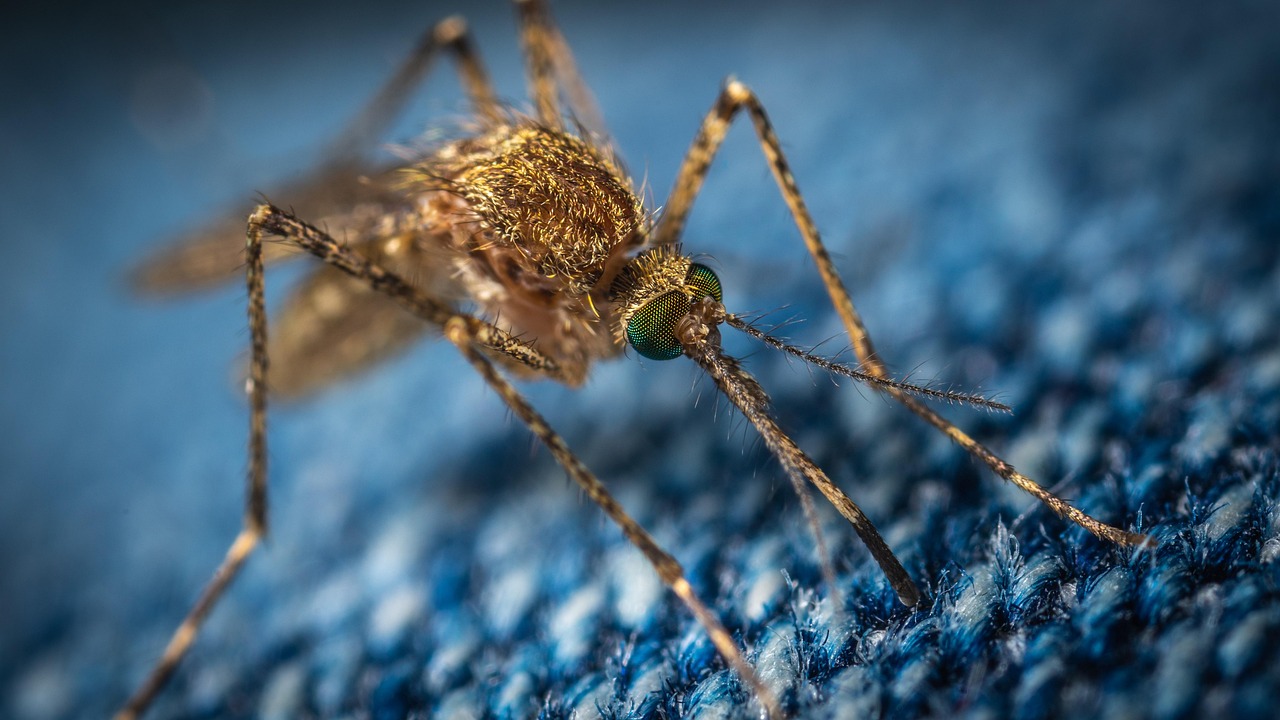 China Is Now Using Self-Driving Car Tech to Fight Mosquitoes with AI