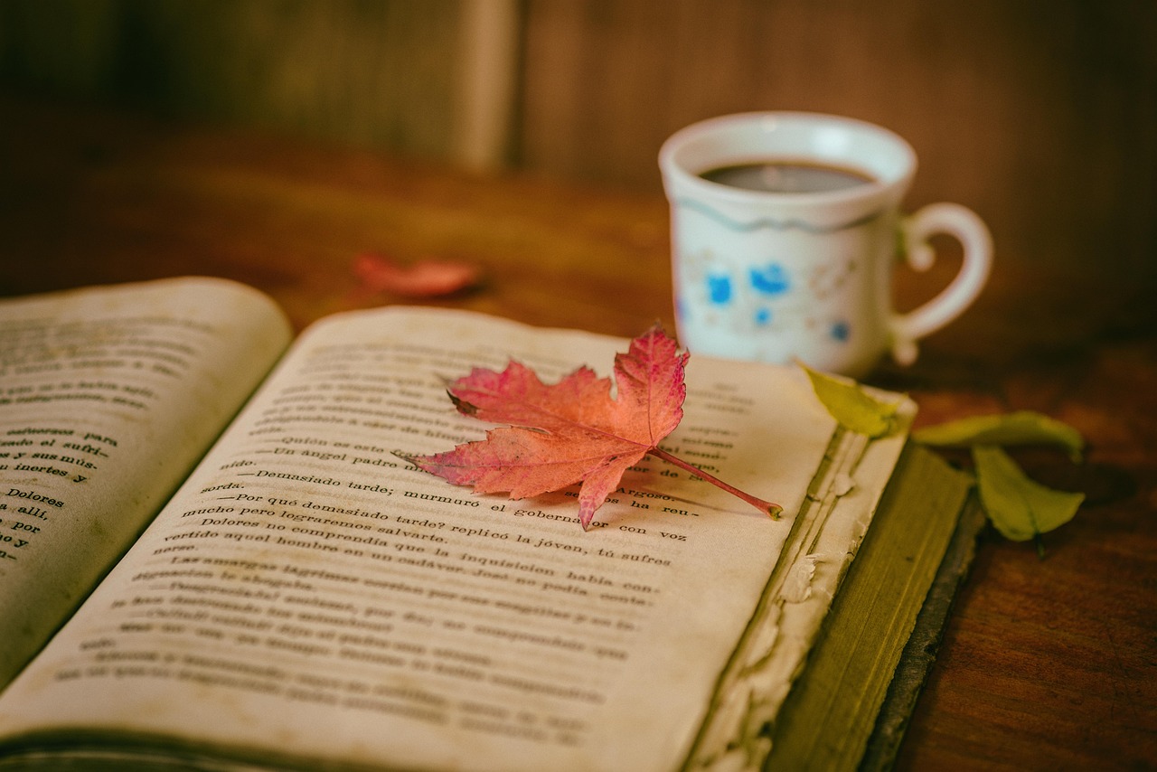 Essential Weekend Reads Exploring Global Elections and Social Issues