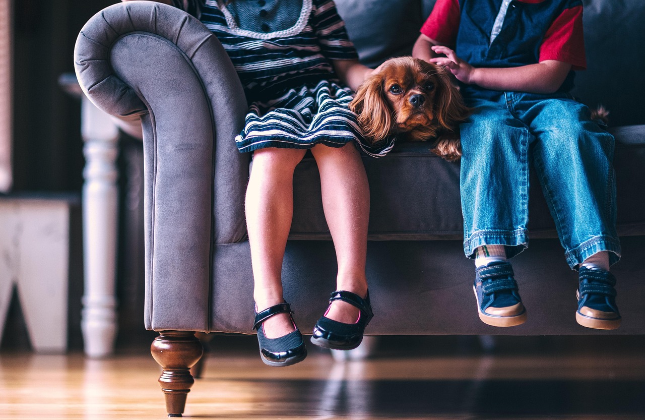 The Neighborly Holiday Swap That Completely Shattered Two Families