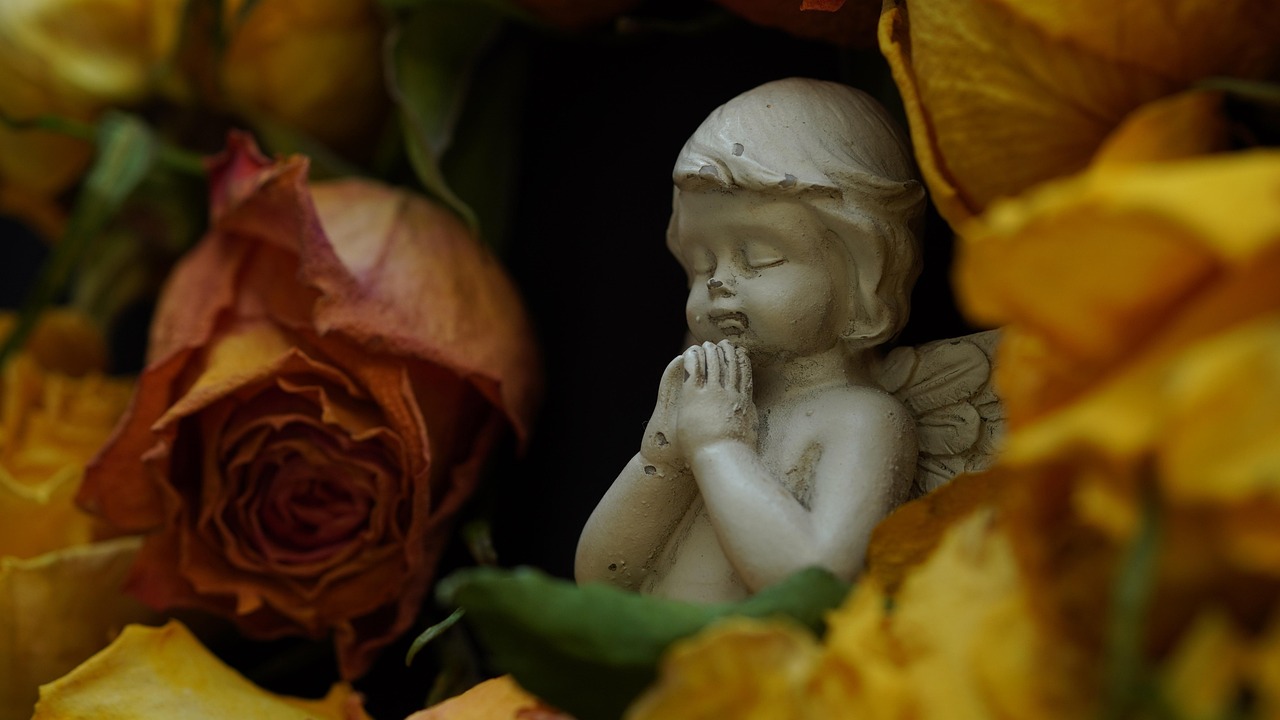 Will Excavating Vietnam War Dead Heal Old Wounds or Reopen Them?